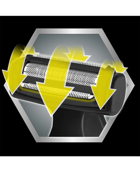 Professional Body Groomer