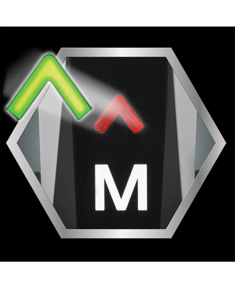 Professional Body Groomer