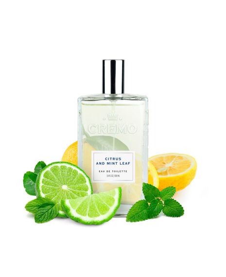 Citrus & Mint Leaf EDT - 100mL