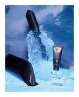 duet blowdry 2 in 1 hair dryer brush gift set - limited edition