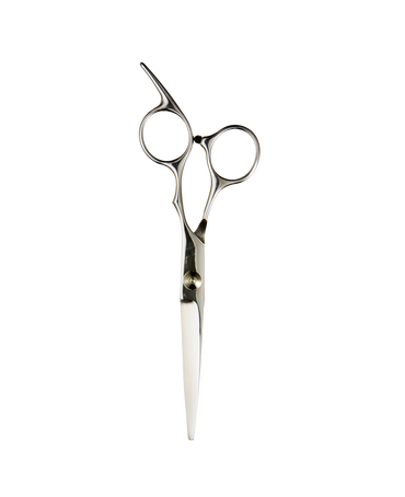 6.0 Inch Stainless Steel Scissor