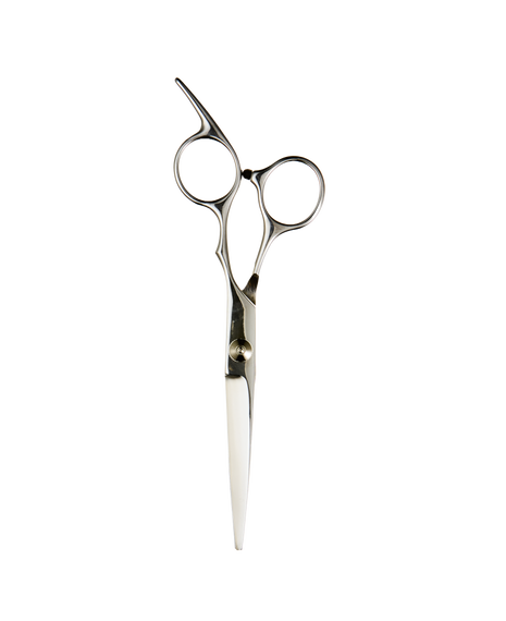 6.0 Inch Stainless Steel Scissor